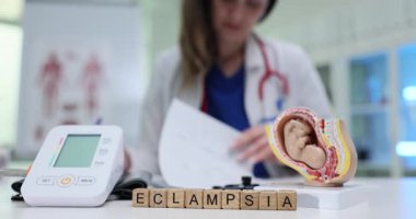 Rahim modeli ve kan basıncı monitörünün yanındaki tahta küplerde eklemsi. Cihazlar hamilelik komplikasyonları ve doğum öncesi riskleri vurguluyor