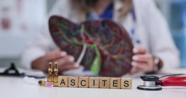 Tahta bloklar ve insan karaciğerinin anatomik modelini tutan doktorlarla ilgili haberler. Doktorlar hastanede iç organ teşhisi koyuyor.