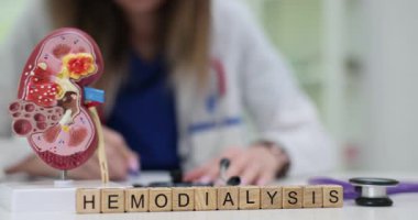 Kadın, masadaki tahta bloklara böbrek ve hemodiyalizin detaylı modelinin yanında reçete yazıyor. Böbrekle ilgili sağlık sorunları ve tedavisi