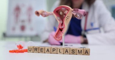 Tıp önlüklü kadın, kadın üreme sisteminin maketinin yanında ve masada Ureaplasma olan bloklar yazıyor. Klinik ortamlar sağlığa odaklanır