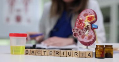 Tahta bloklar Bacteriuria kelimesinin enfeksiyon konusu yarattığını gösteriyor. Kadın, böbrek modeline göre idrar bakterilerini tespit ederek çalışıyor.