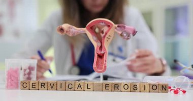 Ahşap küpler rahim maketinin yanında servikal erozyon diye okunuyor. Kadın doktor, farkındalık ve önleme atmosferi yaratan notlar alıyor