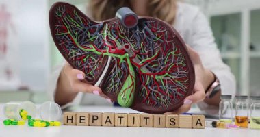 Tahta bloklar Hepatit A 'yı doktor karaciğerin anatomik modelini tutarken hastalıklar hakkında bilgilendirici olarak heceler. Haplar ve laboratuvar mataraları ofiste duruyor.