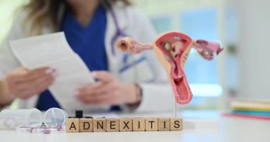 Kadın doktor, Adnexitis 'in ultrason görüntülerini bloklarda ve masadaki üreme sisteminin modelini inceliyor. Jinekoloji ve adneksit teşhisi