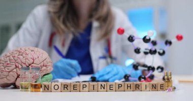 Kadın doktor, Norepinefrin yakınlarında beyin modelinin blokları ve masadaki moleküler modelle ilgili notlar alıyor. Önemli nörotransmiter üzerinde çalış ve analiz et