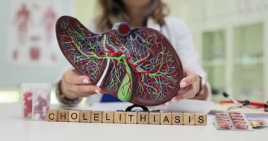 Doktor karaciğer modelini tutarken, tahta bloklarda kolelithias. Gastroenteroloji tanısı eğitimi ve derste safra taşı tartışması