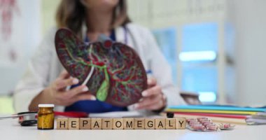 Tahta bloklar ve Hepatomegali. Karaciğerin detaylı modeli doktorların elinde. Genişlemiş karaciğerin gastroenteroloji teşhisi ve tedavisine odaklanın
