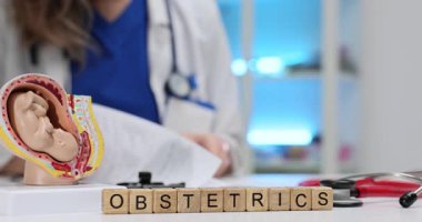 Ana rahmindeki fetüs modelinin yanındaki masada tıbbi uzmanla birlikte tahta bloklar üzerinde doğum. Hamilelik ve doğum sonrası dönemlere odaklan