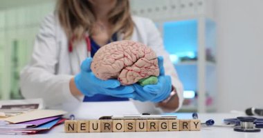 Masadaki tahta bloklardaki beyin cerrahisinde mavi eldivenli kadın beyin modelini tutuyor. Tıbbi alan beyin ve sinir sistemine odaklanır.