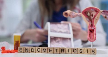 Kadın doktor, Endometriyozis yakınlarındaki ultrason taramalarını ahşap bloklarda ve masadaki rahim modelini inceliyor. Kadın sağlığı durumunun tıbbi bağlamı