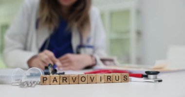 Tahta küplerde hapların ve steteskopun yanına yerleştirilmiş Parvovirüs görülüyor. Kadın virolog tıp eğitimi alıyor. Virüs enfeksiyonunu yönetiyor.