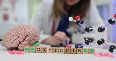 Tahta küpler, sahte beyin ve moleküler modelin yakınındaki Oxytocin 'i heceler. Tabletler ve bilimsel sembollerle çevrili kelimeler duygularla bağlantılıdır.