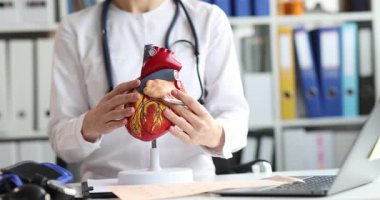 Kadın kardiyolog randevuda anatomik modeli kullanarak kalbin detaylı yapısını gösteriyor. Doktor odaları ve kalp damarlarını açıklıyor. Yavaş çekim