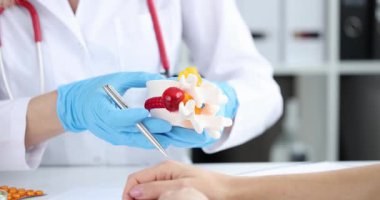 Doktor omurilik diskinin detaylı anatomik modelini gösteriyor. Deneyimli hekim randevuda fıtık oluşum mekanizmasını açıklıyor