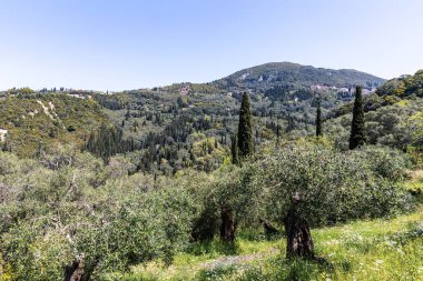Yunanistan 'daki İyon Denizi' ndeki Korfu adasının güzel bir manzarası. Bir sürü yeşil bitkisi olan dağlar. Adanın üzerinde kalın bulutlar.