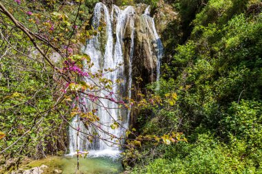 Yunanistan 'ın Korfu adasındaki dağlarda güzel bir şelale. Doğa severler için bir turistik yer..