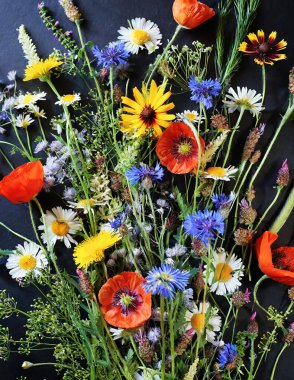 Mevsimlik bitkiler, çalı dalları, sarmaşık, bahar çiçekleri siyah arka planda dekoratif bir kapta..