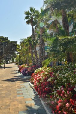 Estepona, Costa del Sol 'da eski bir İspanyol kasabasının büyüleyici kasabası..