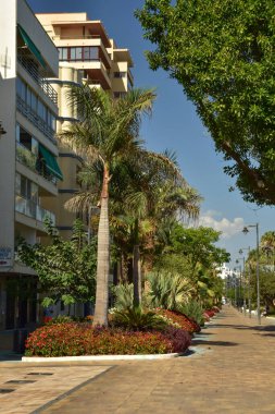 Estepona, Costa del Sol 'da eski bir İspanyol kasabasının büyüleyici kasabası..