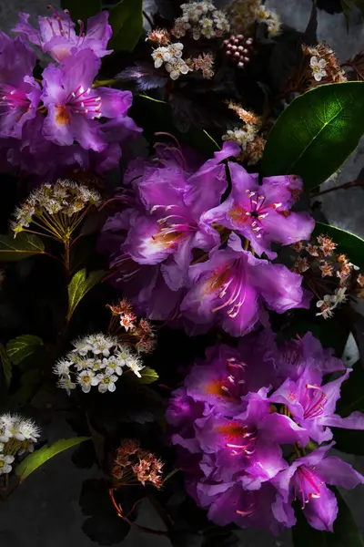 Bitkilerin bileşimi, siyah arka planda, durgun yaşam