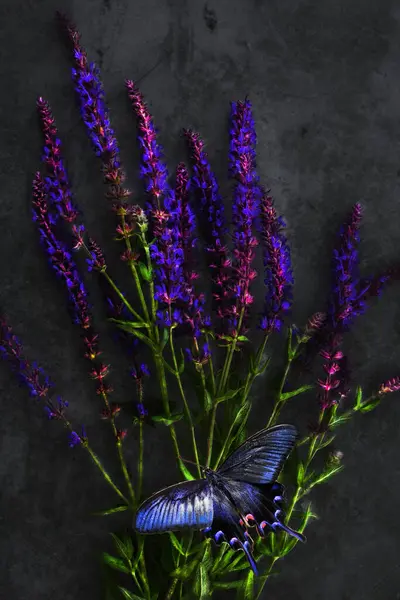 Bitkilerin bileşimi, siyah arka planda, durgun yaşam