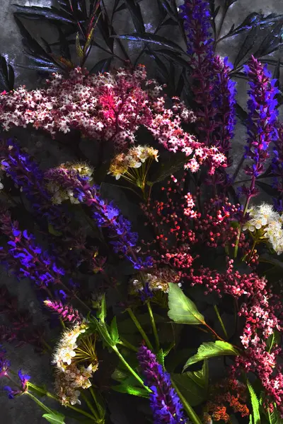 Bitkilerin bileşimi, siyah arka planda, durgun yaşam