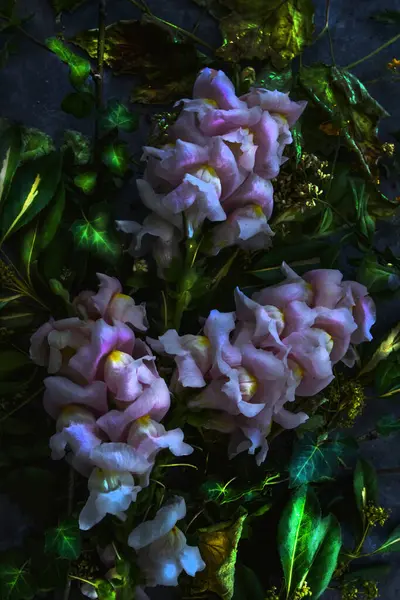 Bitkilerin bileşimi, siyah arka planda, durgun yaşam