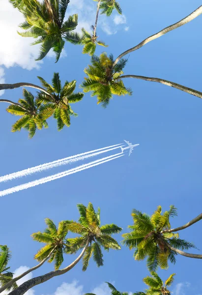 Palmeras Coco Avión Avión Pasajeros Sobrevolando Una Isla Tropical Concepto — Foto de Stock