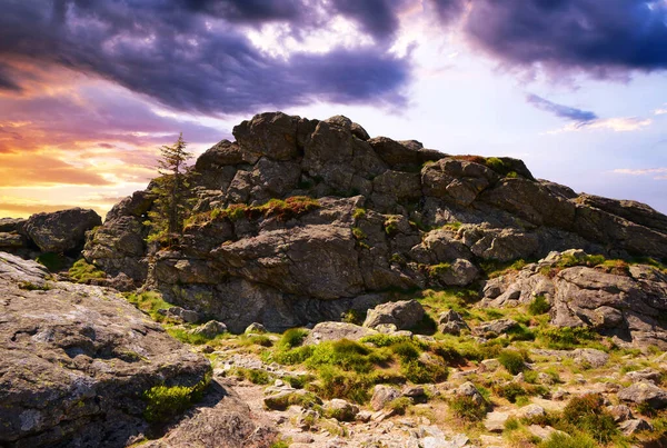 Камінь Вершині Гори Гроссер Арбер Заході Сонця National Park Bayerischer — стокове фото
