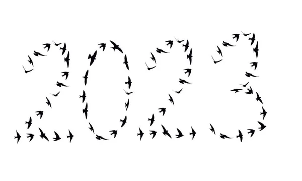 Σιλουέτα Των Πτηνών Σμήνος Που Πετούν Σχηματισμό 2023 Απομονωμένη Λευκό — Φωτογραφία Αρχείου