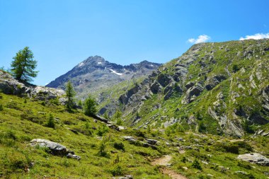 Gran Paradiso Ulusal Parkı. Valle di Bardoney, Aosta Vadisi, İtalya. Güneşli bir günde güzel dağ manzarası.