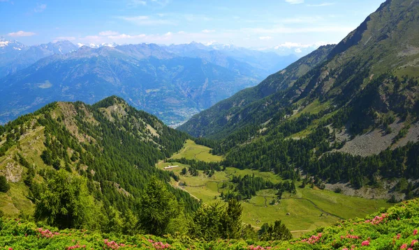 Piękny Krajobraz Górski Słoneczny Dzień Widok Alpy Pennińskie Doliny Aosty — Zdjęcie stockowe