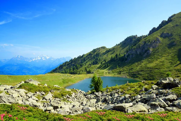 Horské Jezero Lago Chamole Aosta Valley Itálie Letní Krajina Alpách — Stock fotografie