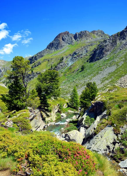 Национальный Парк Гран Парадизо Долина Аоста Италия Красивый Горный Пейзаж — стоковое фото