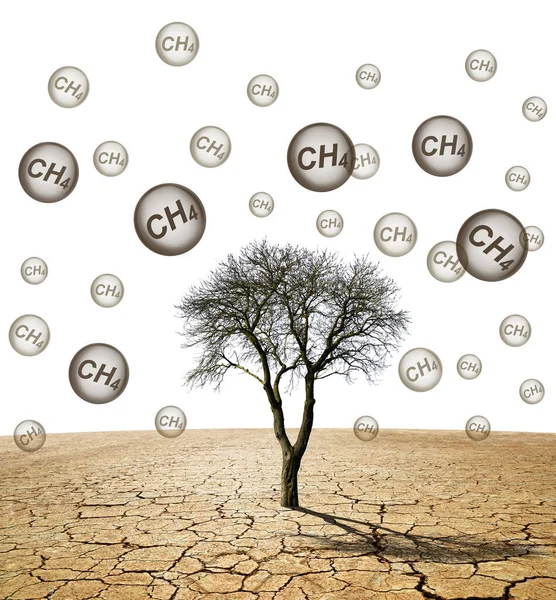 Tree Arid Landscape Bubble Ch4 Text Isolated White Background Global — Stock Photo, Image