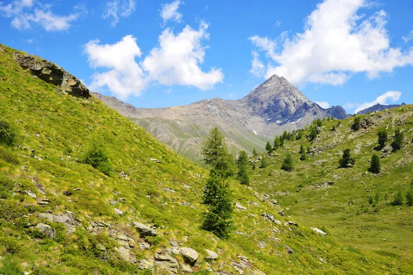 グラン パラディソ国立公園 Valle Bardoney Aosta Valley イタリア 晴れた日の美しい山の風景 — ストック写真