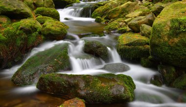 Çek Cumhuriyeti, Sumava Ulusal Parkı 'ndaki Black Creek' te şelale. Dağ deresi.