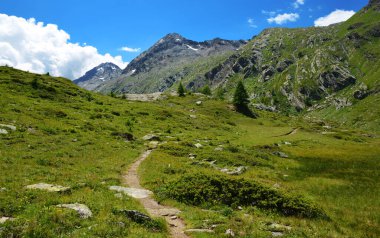 Gran Paradiso Ulusal Parkı. Valle di Bardoney, Aosta Vadisi, İtalya. Güneşli bir günde güzel dağ manzarası.
