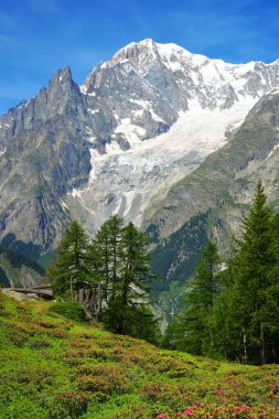 Güneşli bir günde Mont Blanc (Monte Bianco) dağ sırasına bakın. Aosta Vadisi, İtalya.