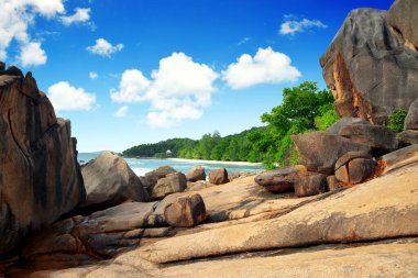 La Digue, Seyşeller 'deki Anse Şiddetli Sahili.
