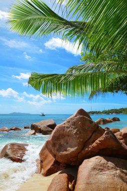 Anse Lazio beach in the island Praslin, Seychelles, Indian Ocean, Africa.