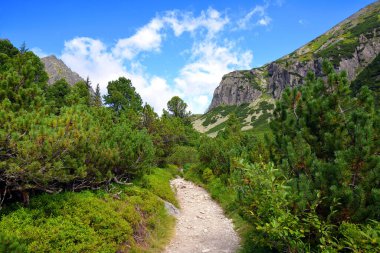 Vysoke Tatry 'deki Mlynicka Vadisi (Tatra Dağları), Slovakya.