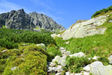 Vysoke Tatry 'deki Mlynicka Vadisi (Tatra Dağları), Slovakya.