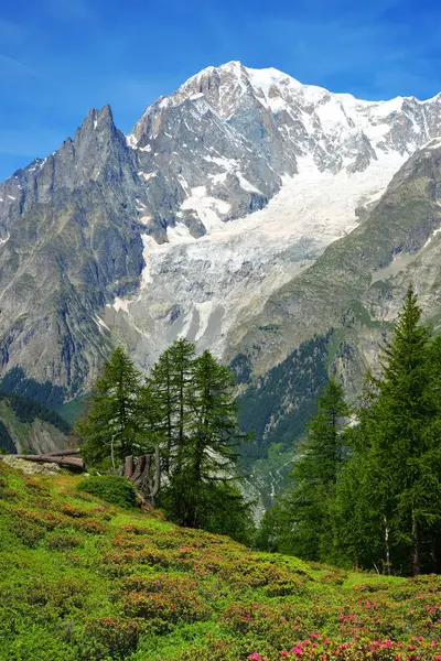 View Mont Blanc Monte Bianco Mountain Range Sunny Day Aosta — Stock Photo, Image