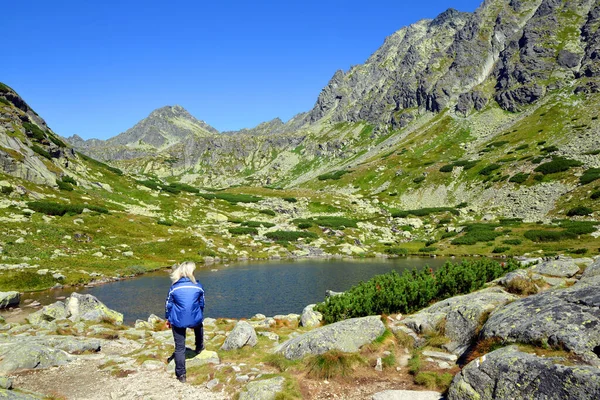 Mlynicka Vadisi, Tatra dağları, Slovakya 'daki Pleso nad Skokom Gölü' nde turist.