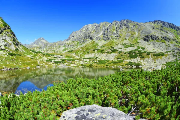 Landscape Western Carpathians Pleso Nad Skokom Mlynicka Valley Tatra Mountains — Stock Photo, Image