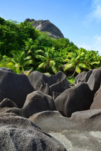 Tropical Landscape Anse Source Argent Beach Digue Island Indian Ocean Immagine Stock