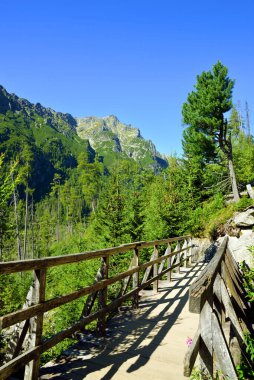 Vysoke Tatry 'deki Velka Studena Dolina (Tatra Dağları), Slovakya.