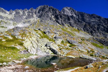 Mala Studena Dolina, Vysoke Tatry (Tatra Dağları), Slovakya.