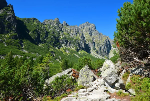 Mala Studena Dolina Der Vysoke Tatry Tatra Slowakei Stockbild